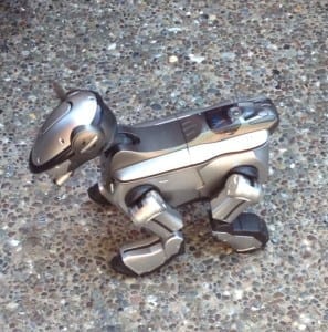 Robot Dog