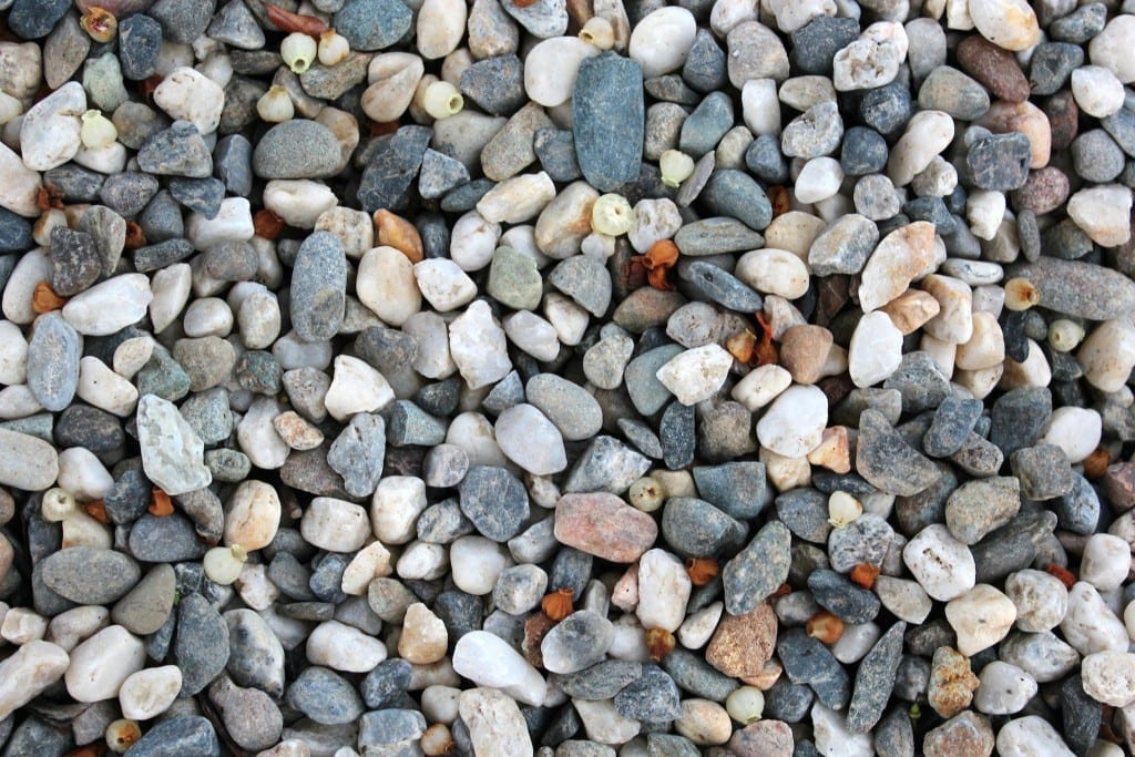 quotes for entrepreneurs spread out like pebbles on the path before you.