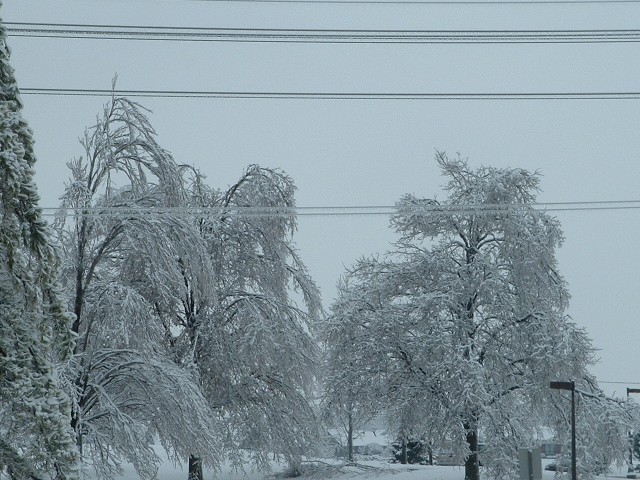 Ice Storm