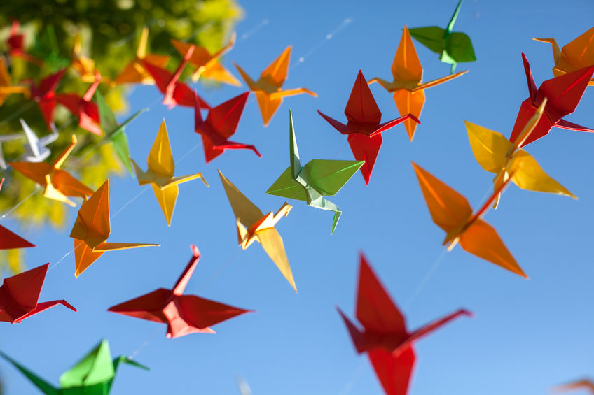 colorful origami birds illustrate the Founder Story to John Nash, CEO Color Vision Store