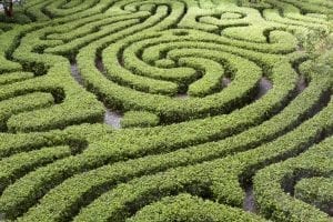 Closing an enterprise sale is like navigating a maze