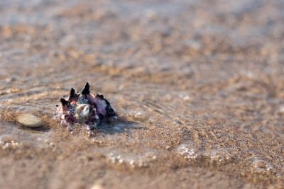 laggards left behind when the tide went out