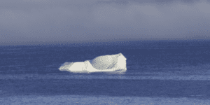 Justin Kan argues startups self-destruct more than they are hit by icebergs (external events).