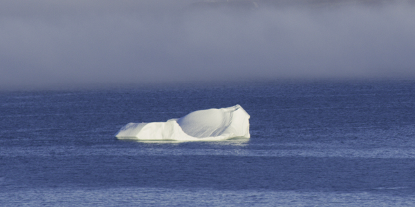 looking for icebergs in the fog