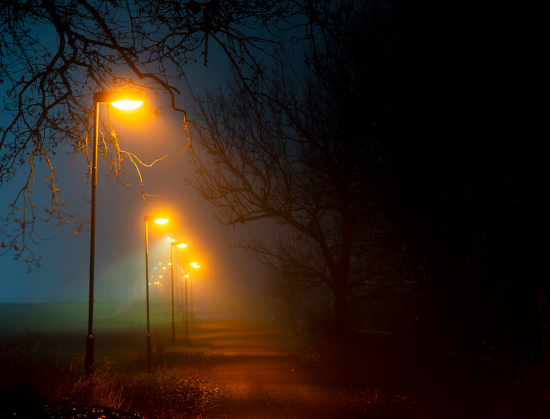 Autumn Park Pathway with Streetlights