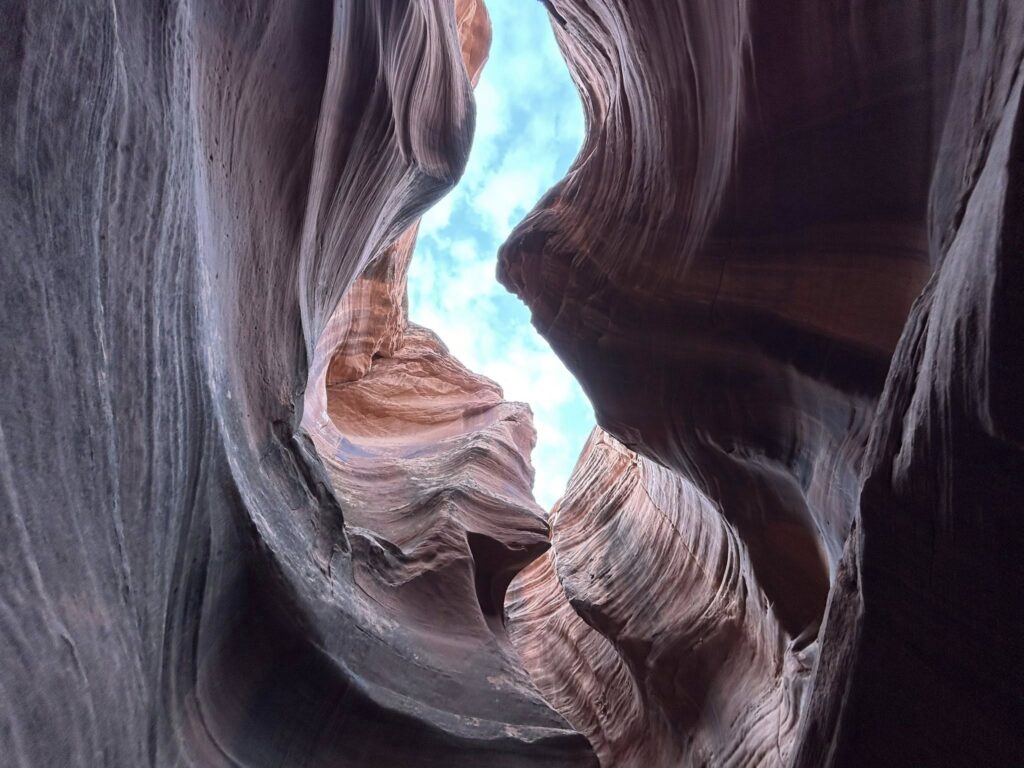 AI Gold Rush: The Sky's the Limit