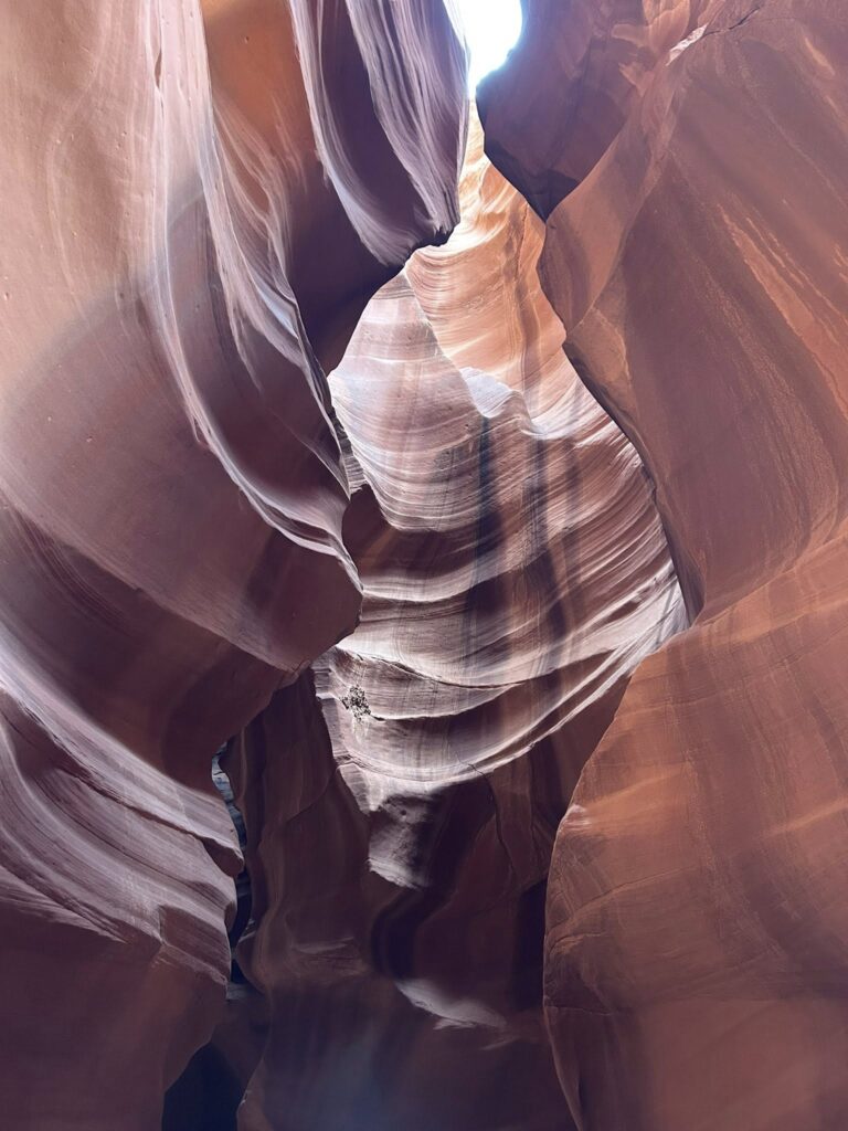 AI Gold Rush: It starts with a Flash of Insight but is finished by a team